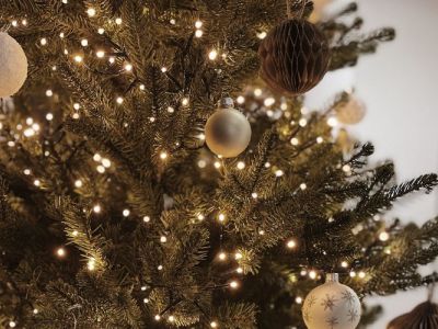 Réveillon de Noël 2026 - Formule Noël Féérique